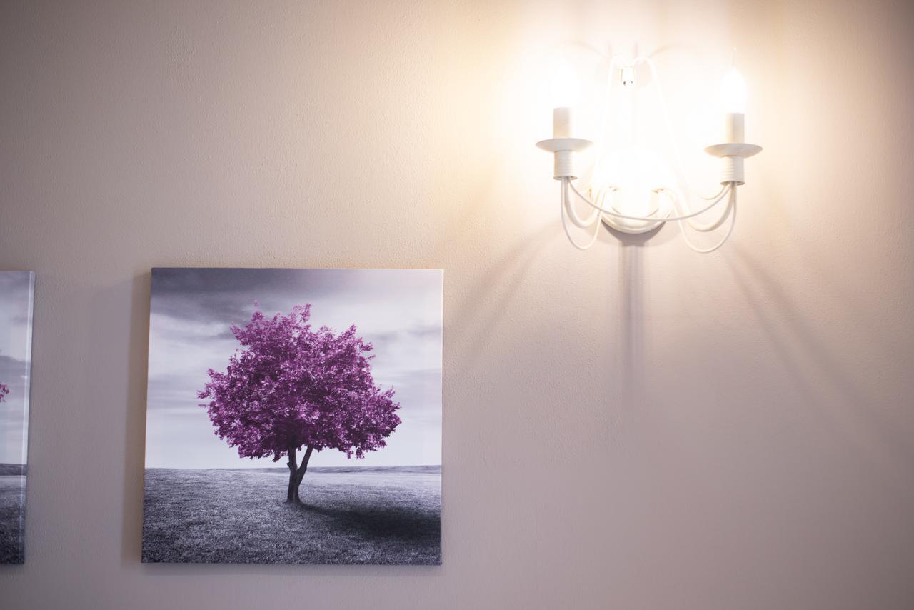 Lucia'S Home Floransa Dış mekan fotoğraf